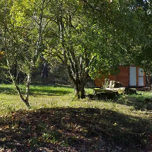 Agricampeggio Madonna Di Pogi Bucine
