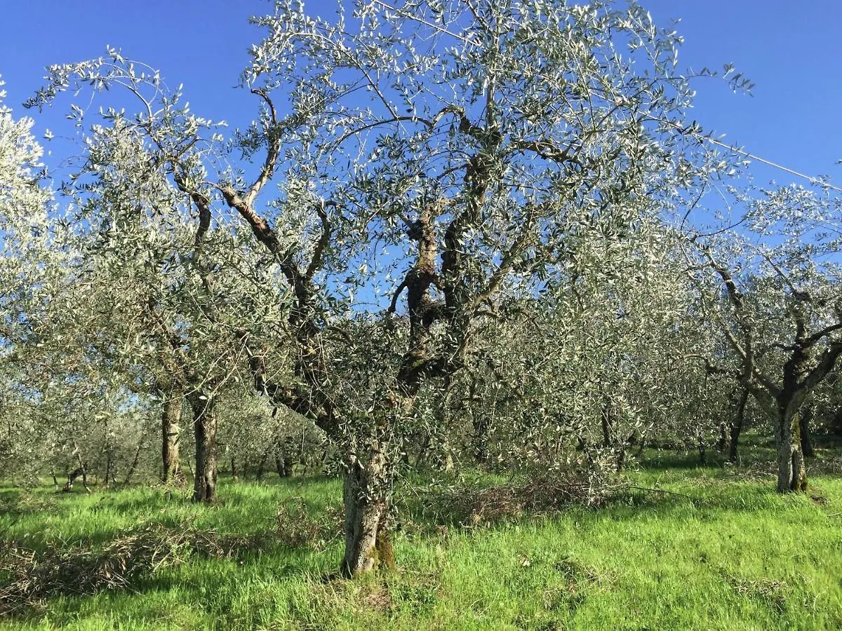 Belvilla By Oyo Il Coppo Bucine
